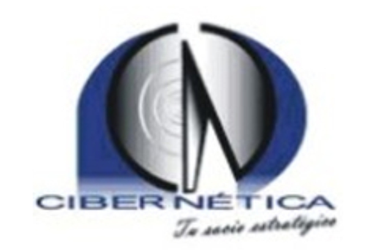 Logo de la compañía Cibernética